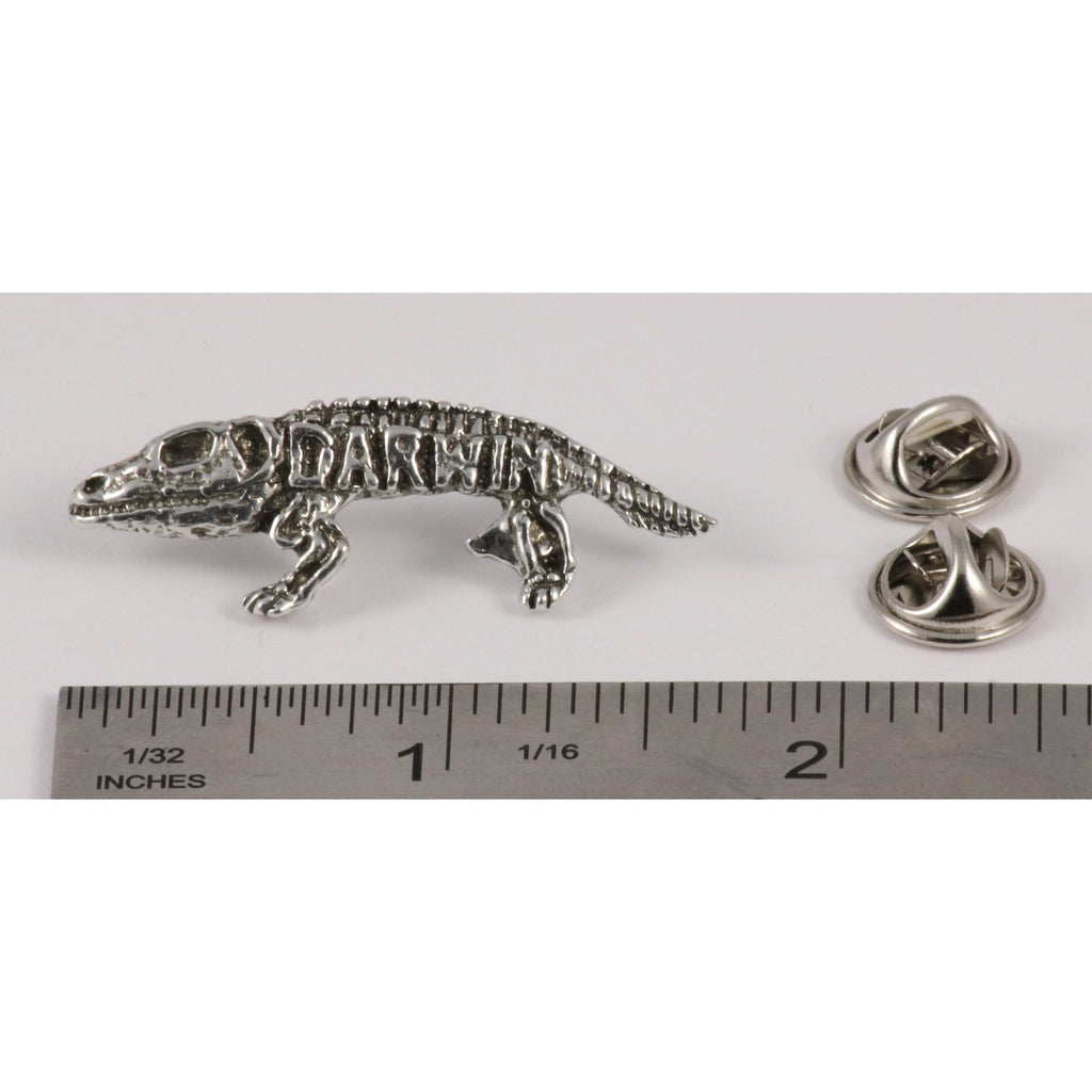 A handcrafted Darwin Pin next to a ruler, available for sale at Creativeartisan.com - the image offers a sense of scale