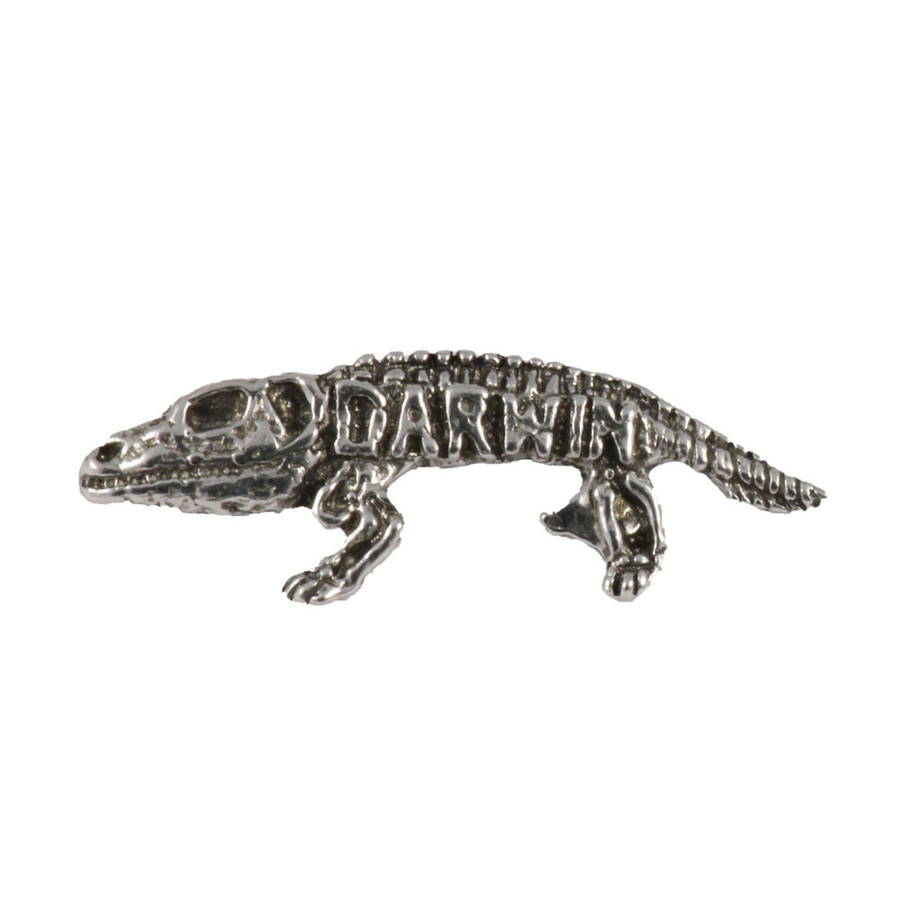 Detailed Antique Pewter Darwin Pin that can be worn on a hat, jacket, backpack, etc.