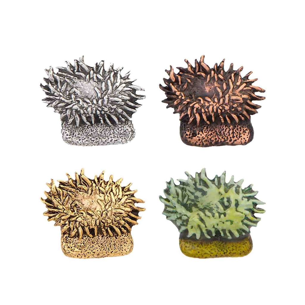 Sea Anemone Magnet A157