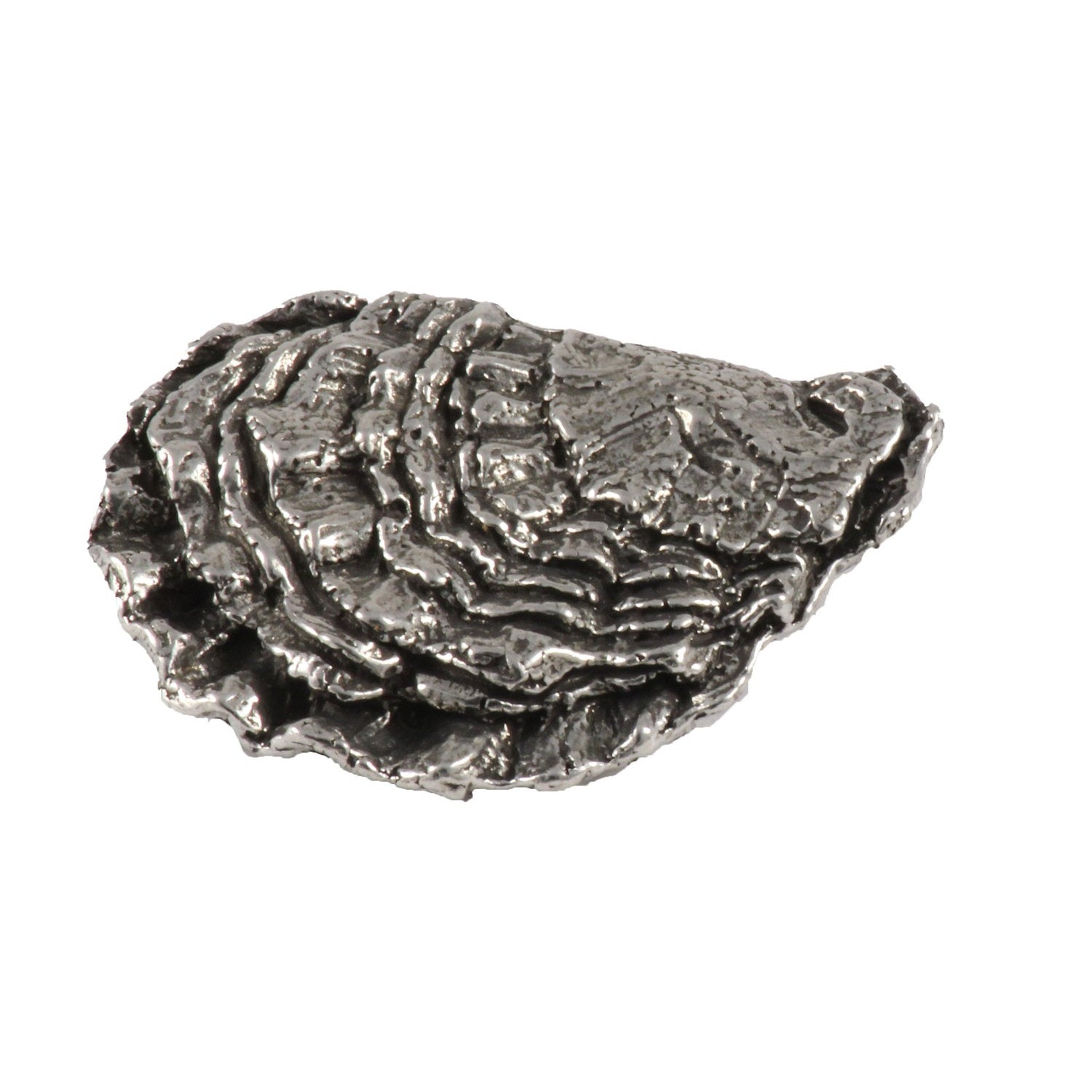 Detailed Antique Pewter Oyster Shell Pin that can be worn on a hat, jacket, backpack, etc.