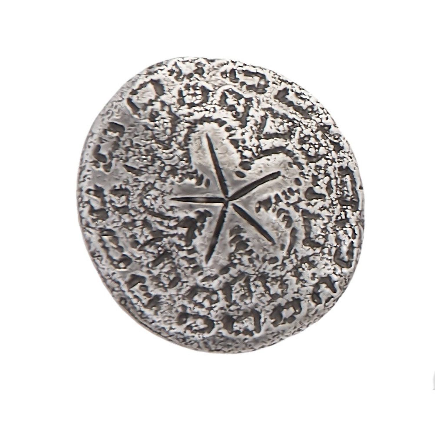 Detailed Antique Pewter Sand Dollar Pin that can be worn on a hat, jacket, backpack, etc.