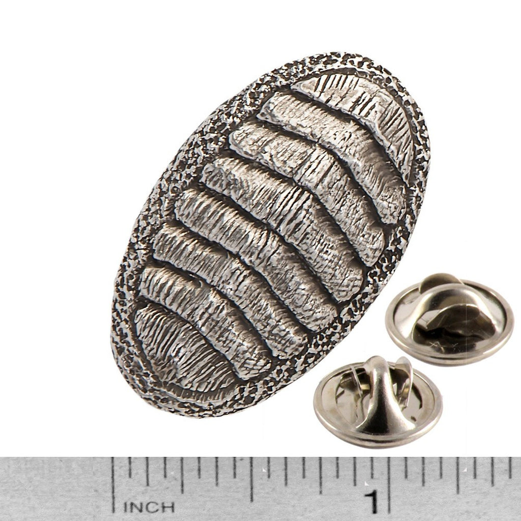 A handcrafted Chiton Pin next to a ruler, available for sale at Creativeartisan.com - the image offers a sense of scale