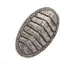 Detailed Antique Pewter Chiton Pin that can be worn on a hat, jacket, backpack, etc.