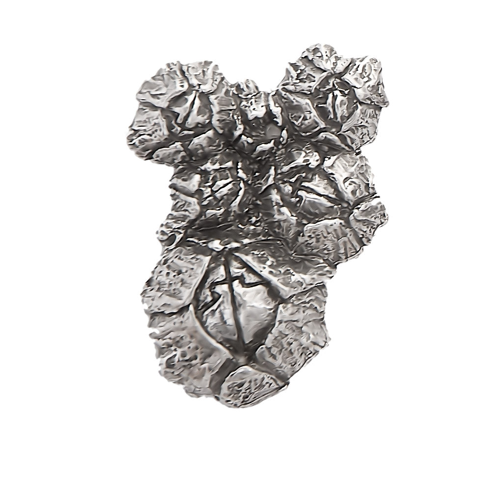 Barnacle Magnet A169A
