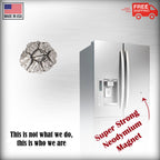 Barnacle Magnet A169