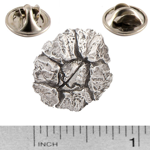 A handcrafted Barnacle Pin next to a ruler, available for sale at Creativeartisan.com - the image offers a sense of scale