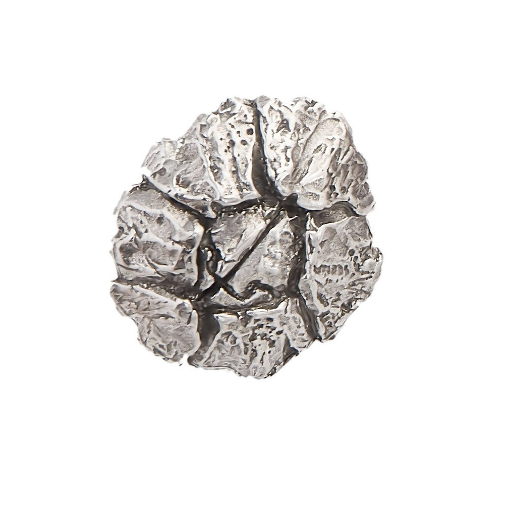 Detailed Antique Pewter Barnacle Pin that can be worn on a hat, jacket, backpack, etc.