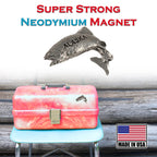 Rainbow Trout Magnet A606M