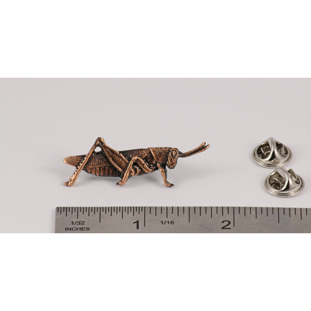 A handcrafted Grasshopper Pin next to a ruler, available for sale at Creativeartisan.com - the image offers a sense of scale