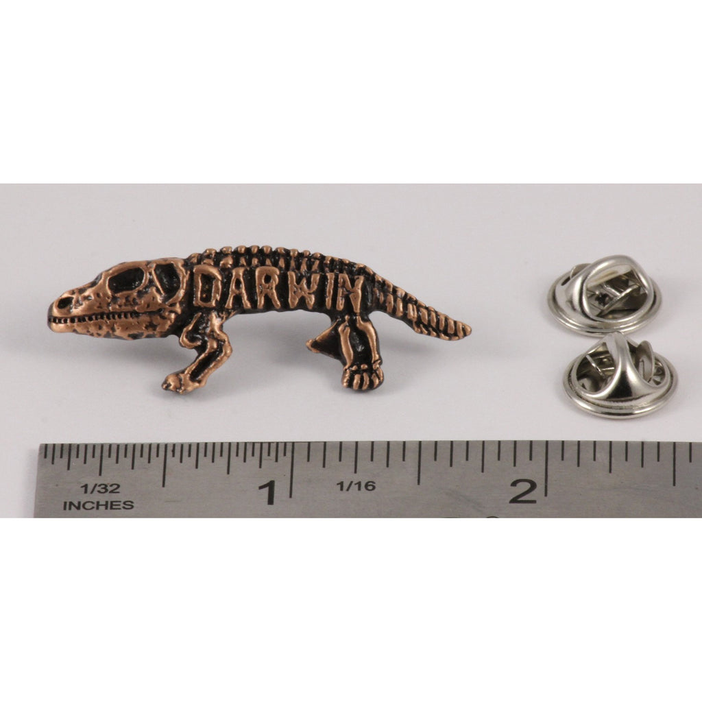 A handcrafted Darwin Pin next to a ruler, available for sale at Creativeartisan.com - the image offers a sense of scale
