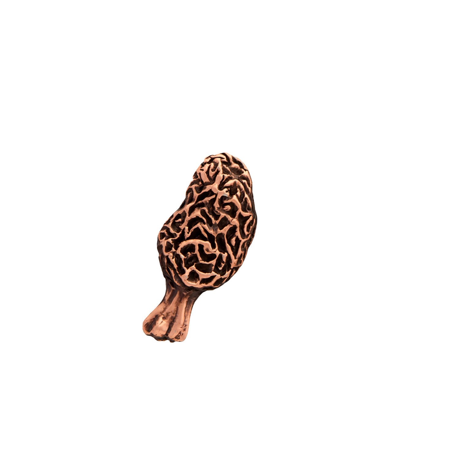 Morel Mushroom Pin