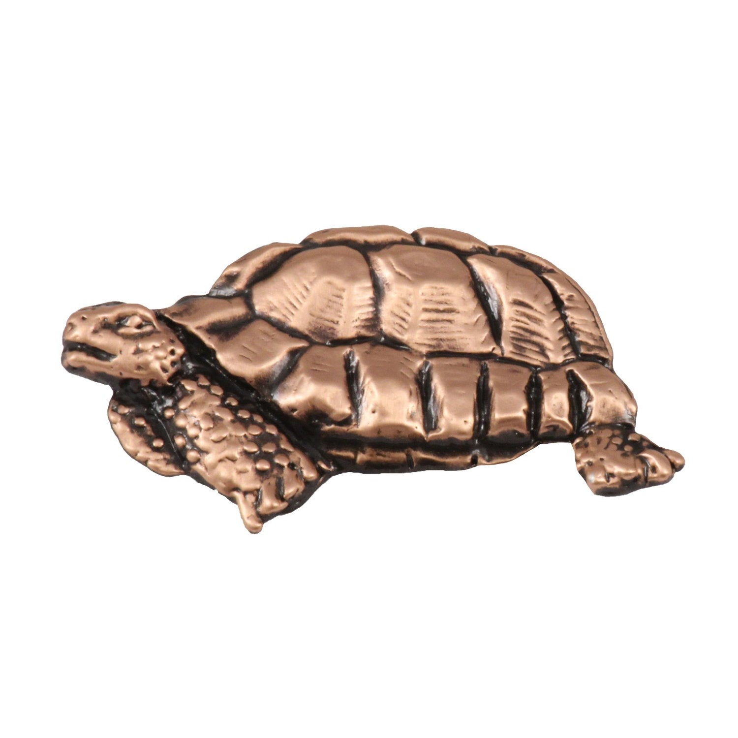 Tortoise Pin