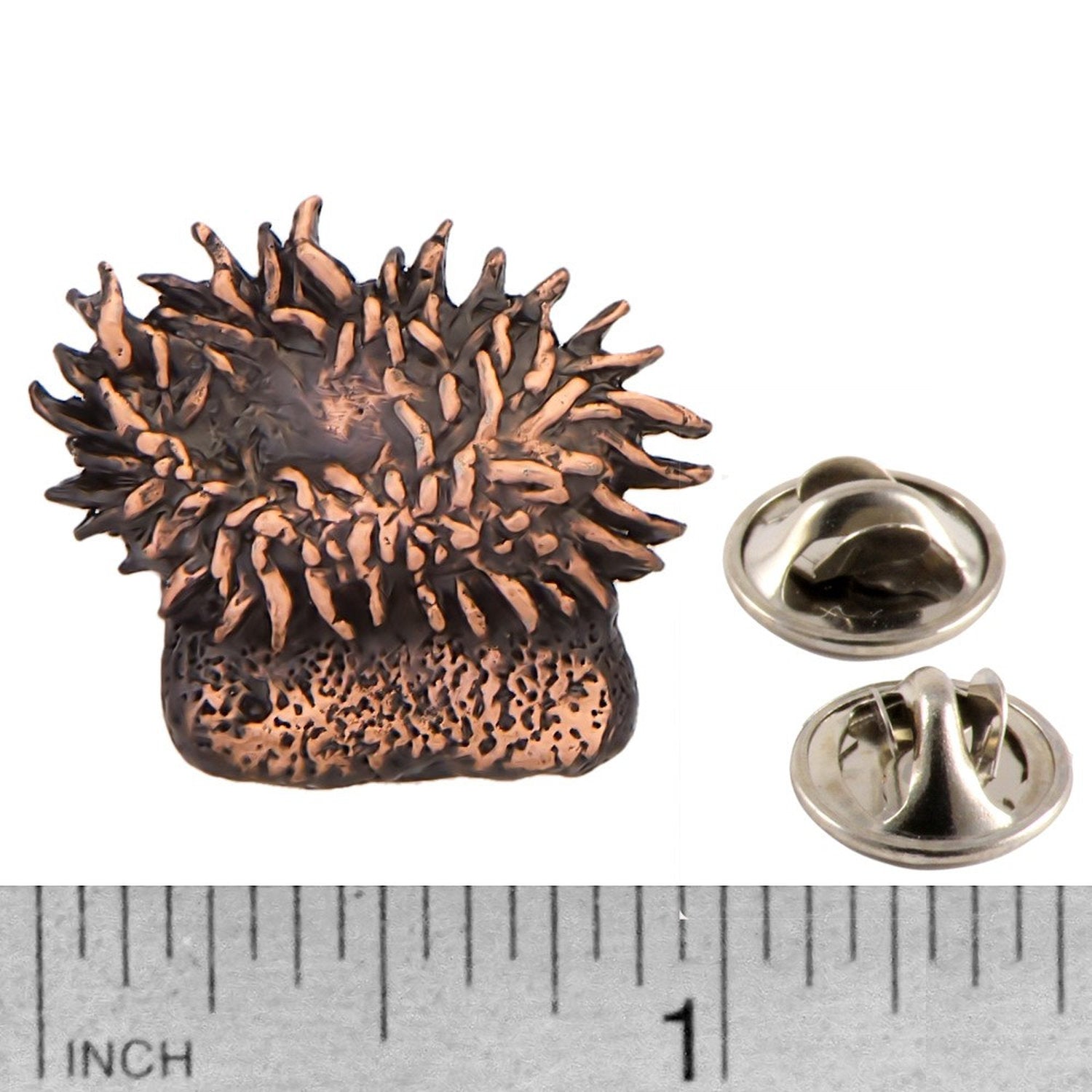 A handcrafted Sea Anemone Pin next to a ruler, available for sale at Creativeartisan.com - the image offers a sense of scale