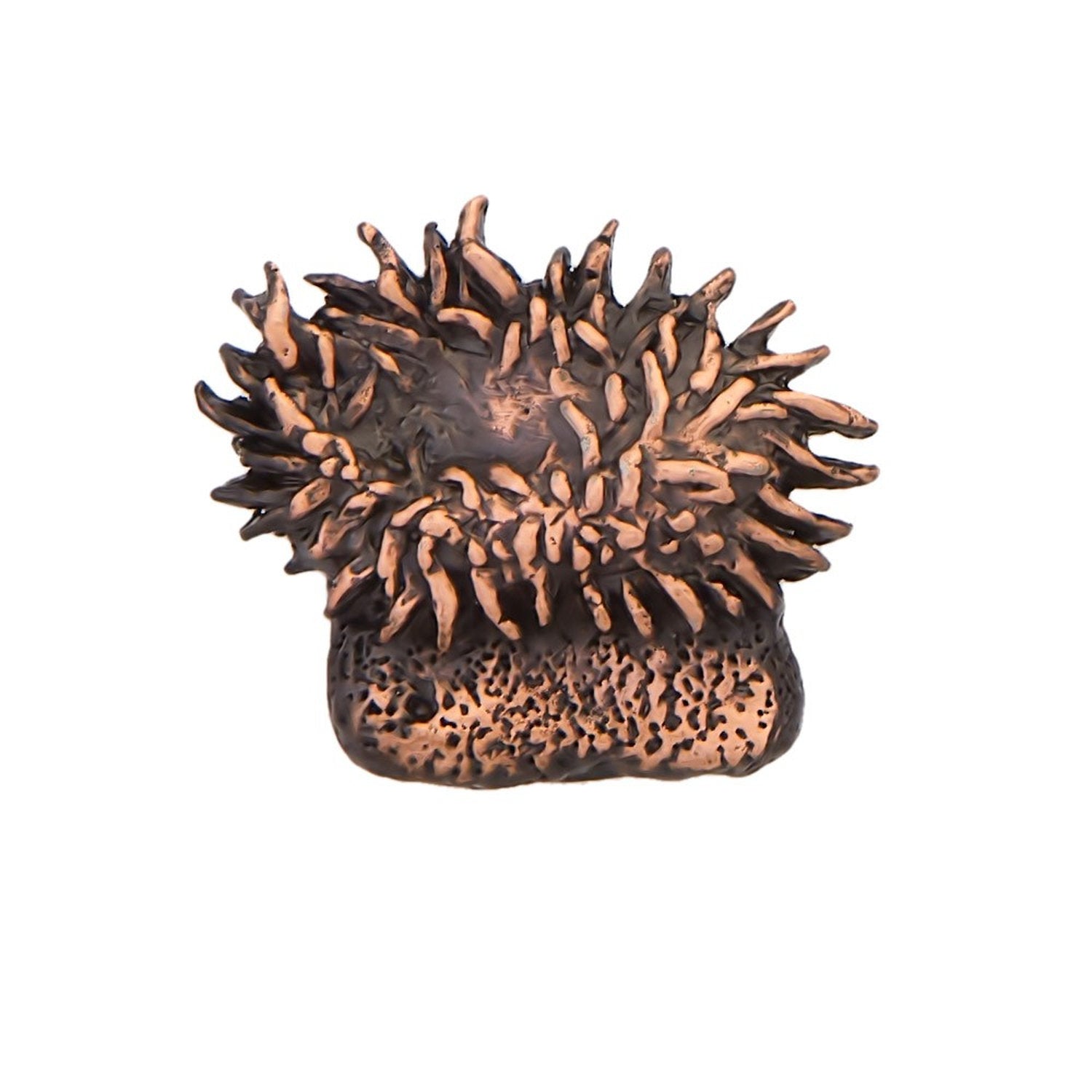 Sea Anemone Pin