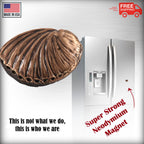 Abalone Shell Magnet A160