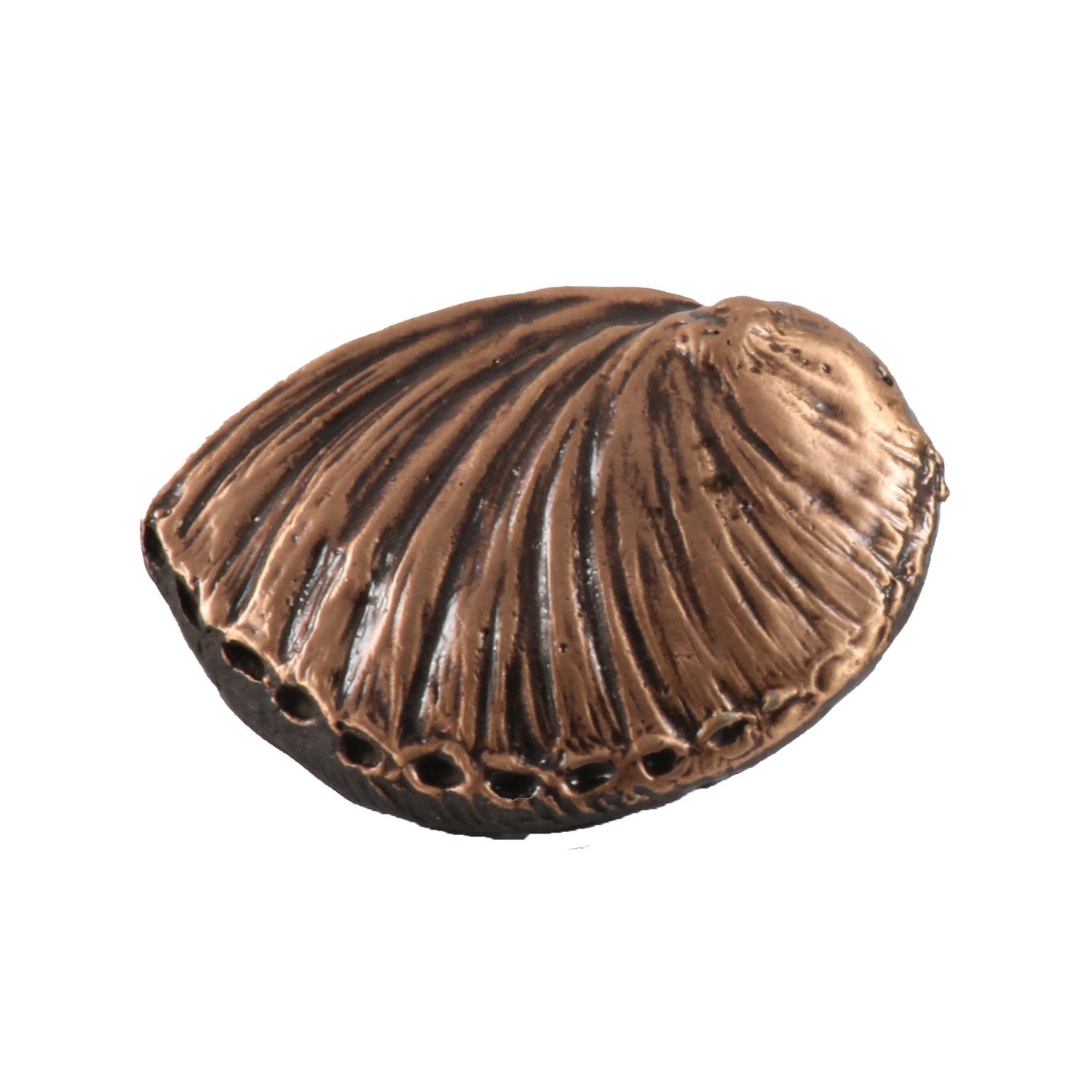 Abalone Shell Pin