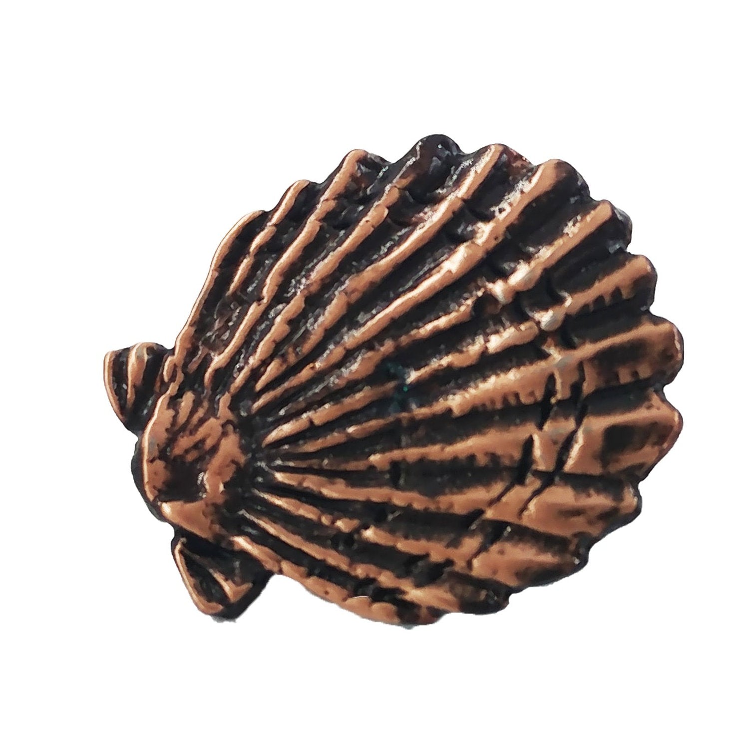 Scallop Shell Pin