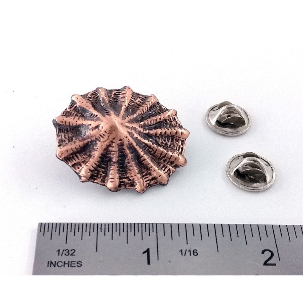 A handcrafted Limpet Pin next to a ruler, available for sale at Creativeartisan.com - the image offers a sense of scale