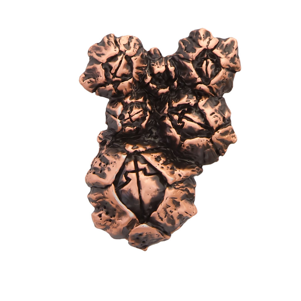 Barnacle Magnet A169A
