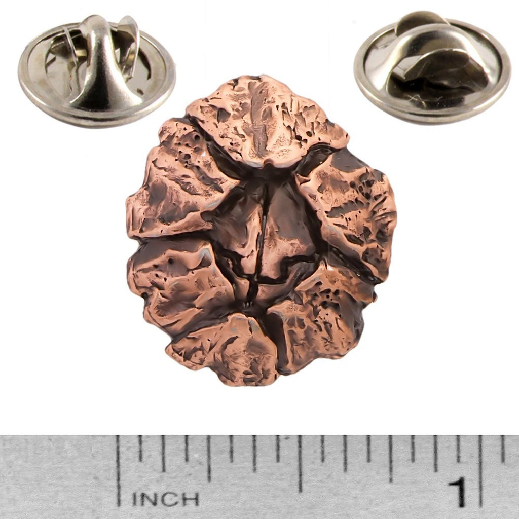 A handcrafted Barnacle Pin next to a ruler, available for sale at Creativeartisan.com - the image offers a sense of scale