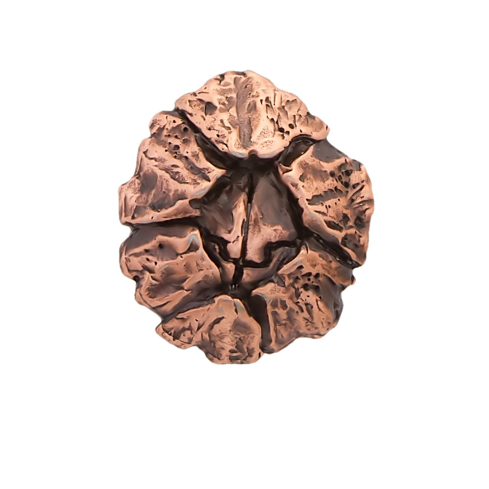 Barnacle Magnet A169