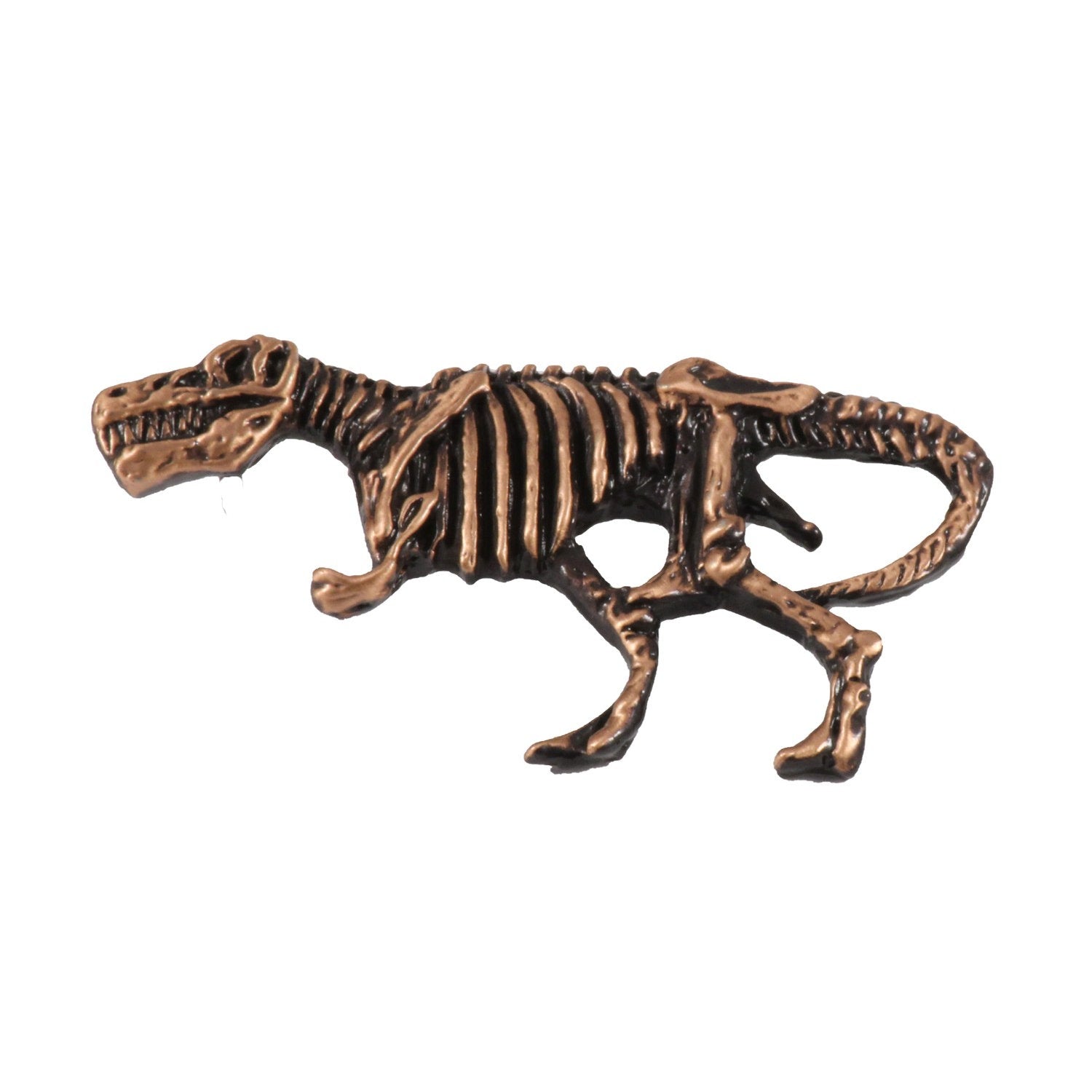 Tyrannosaurus Rex Fossilized Body Pin
