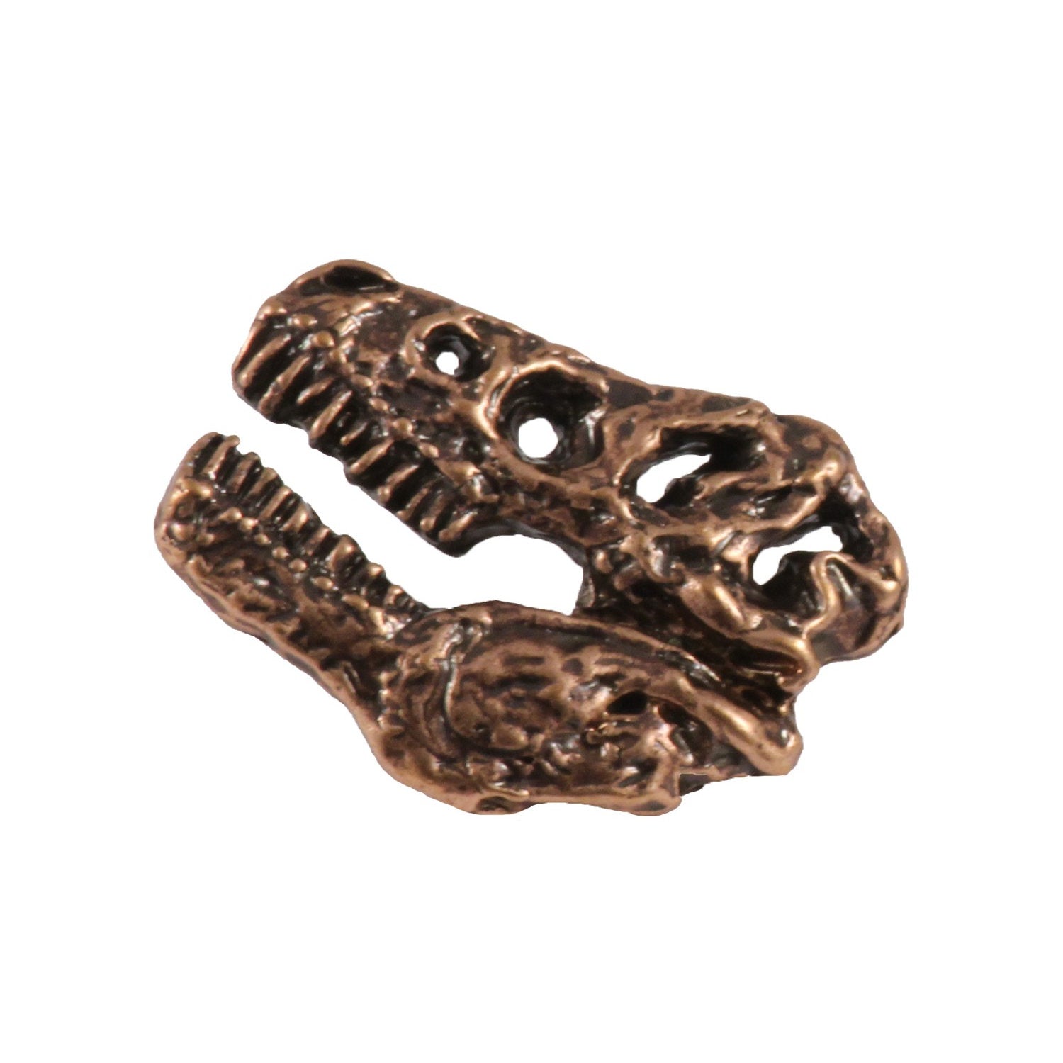 Tyrannosaurus Rex Fossilized Head Pin