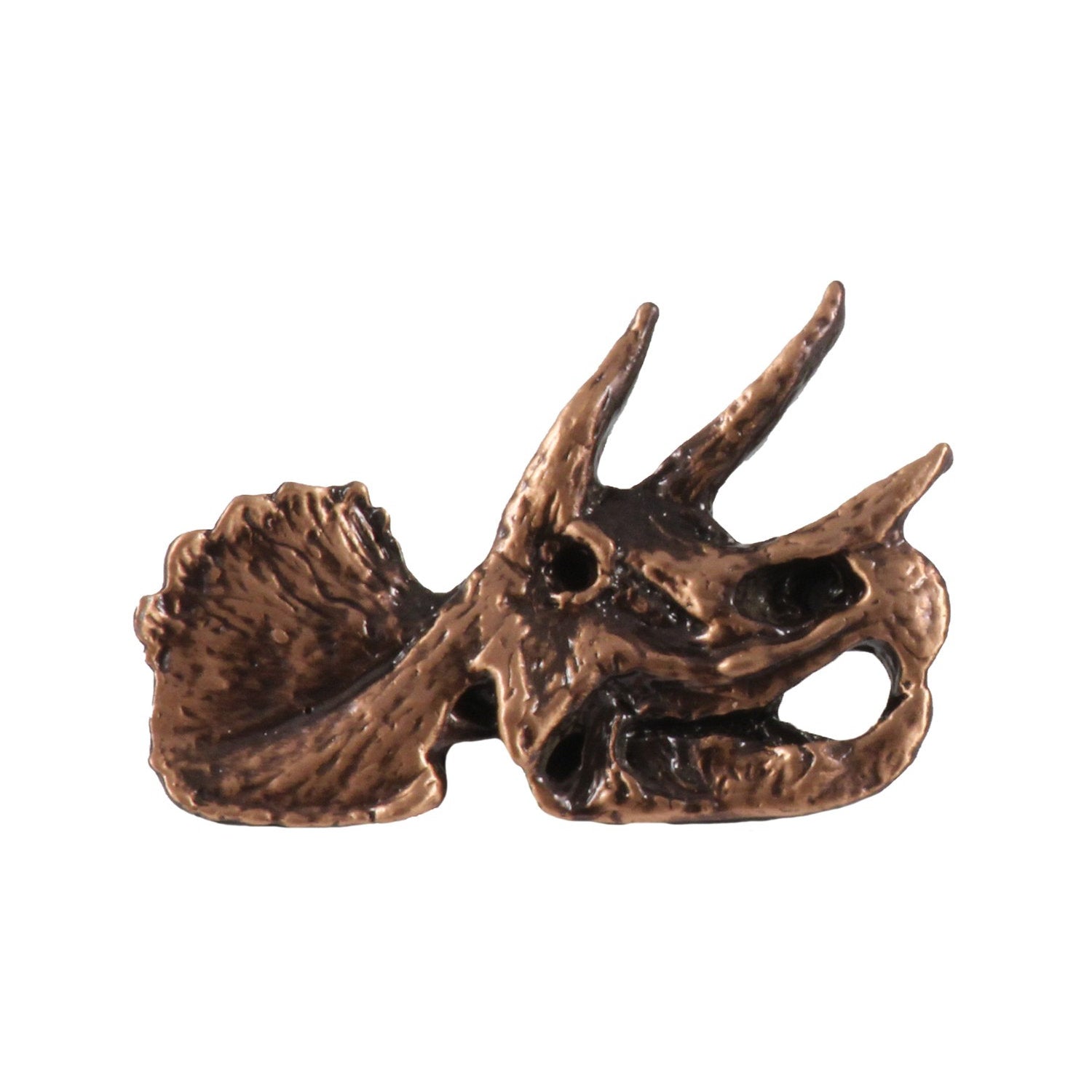 Triceratops Fossilized Head Pin