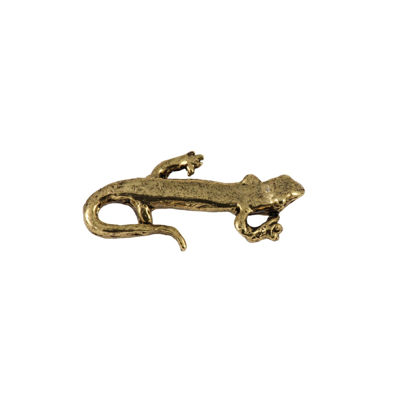 Salamander Pin