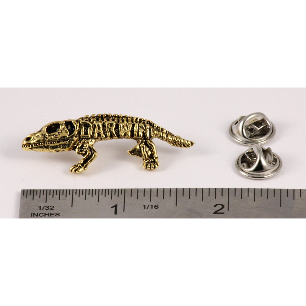 A handcrafted Darwin Pin next to a ruler, available for sale at Creativeartisan.com - the image offers a sense of scale