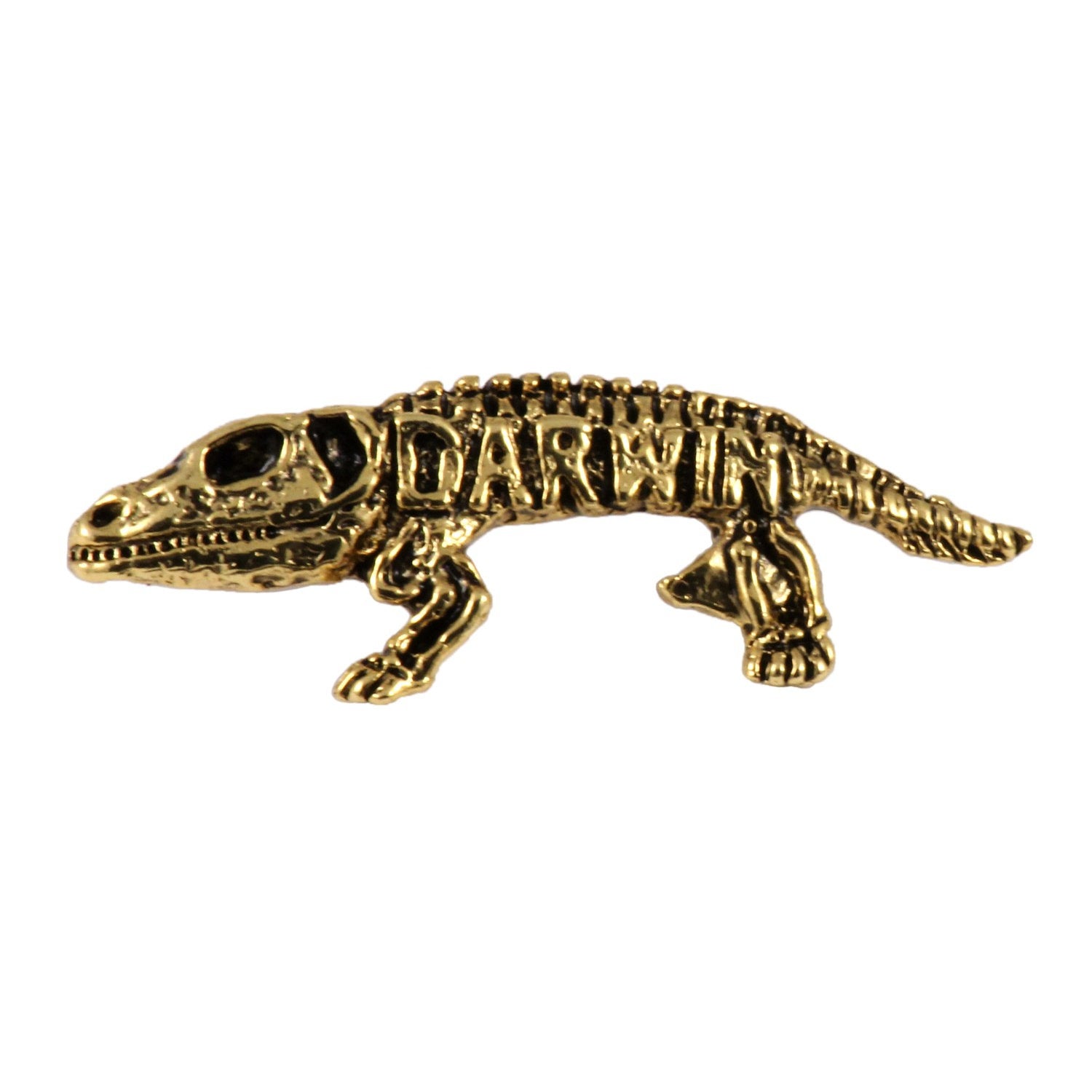 Darwin Pin