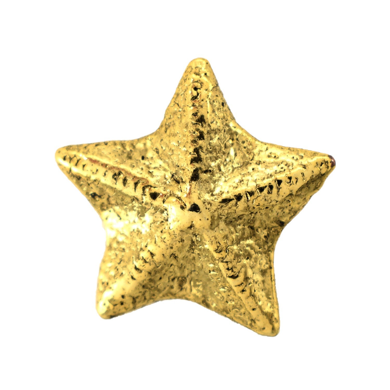Detailed Gold Plated Sea Star Pin that can be worn on a hat, jacket, backpack, etc.