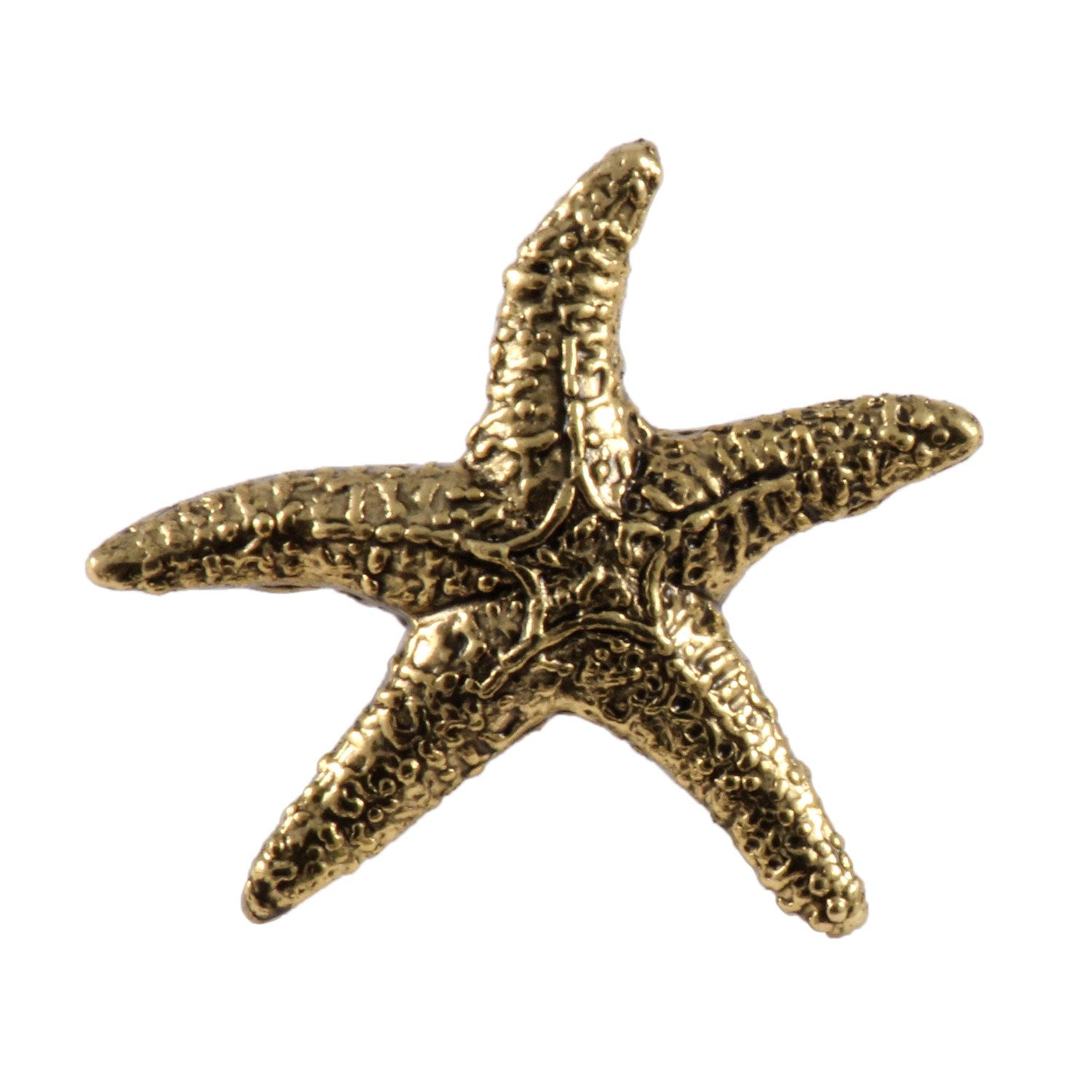 Starfish Pin