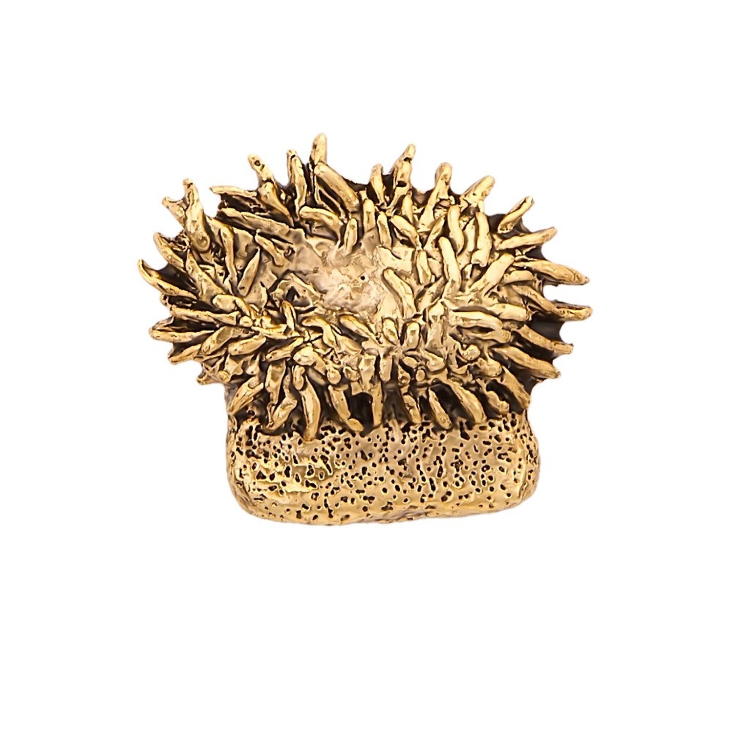 Sea Anemone Pin