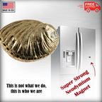 Abalone Shell Magnet A160