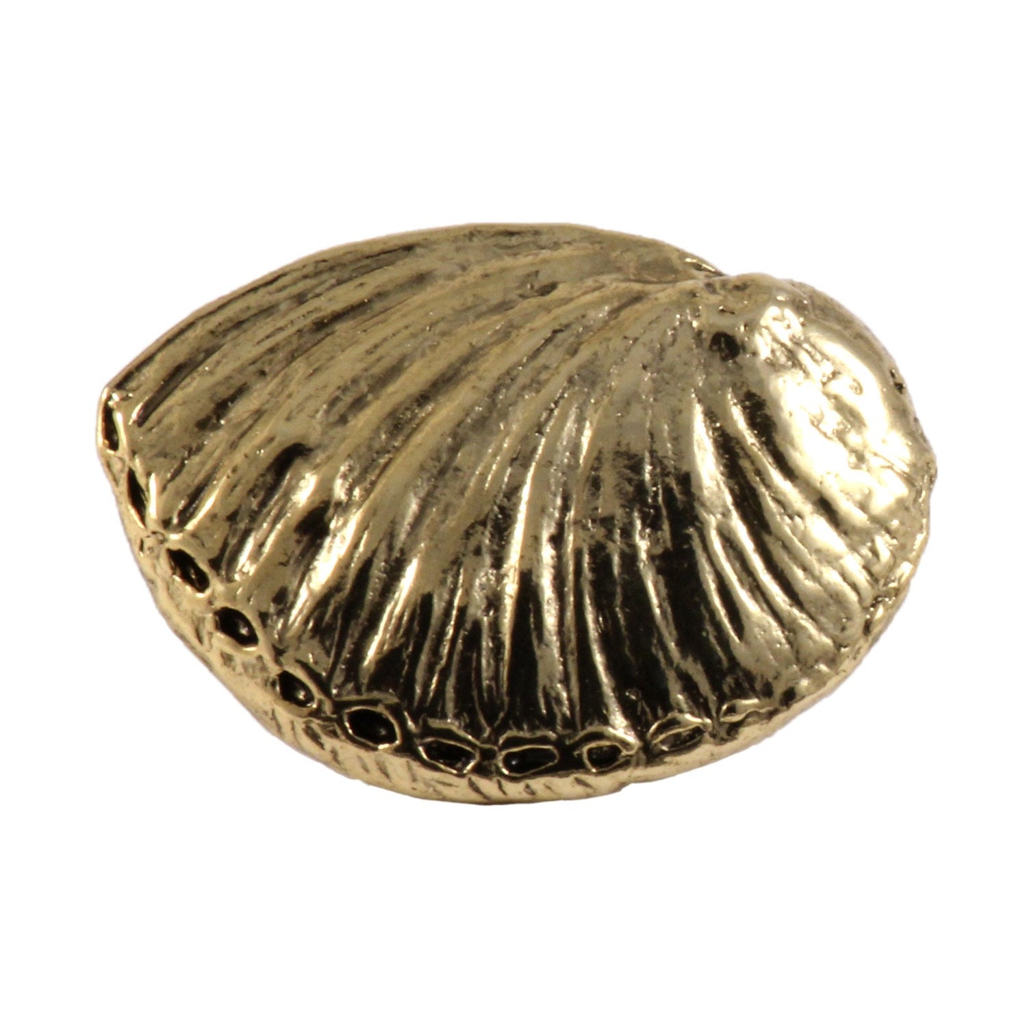 Abalone Shell Pin