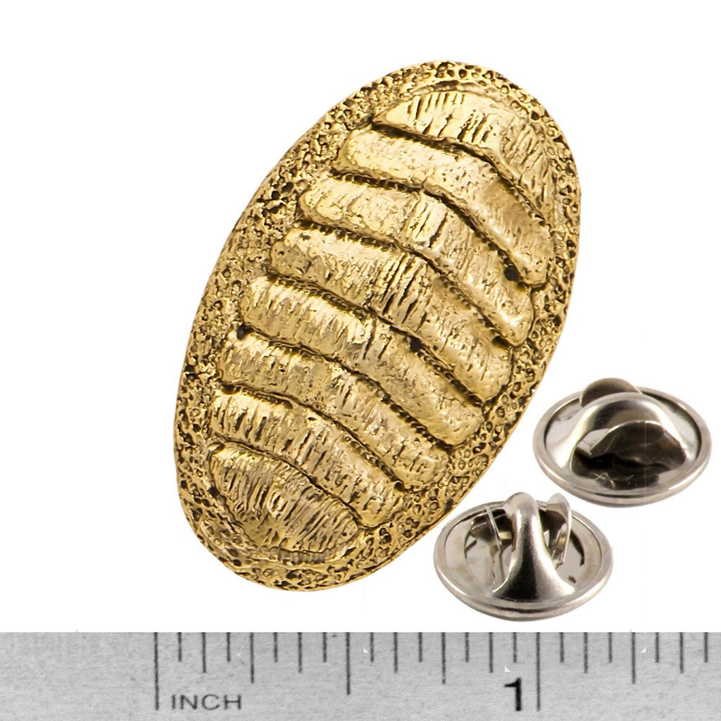 A handcrafted Chiton Pin next to a ruler, available for sale at Creativeartisan.com - the image offers a sense of scale