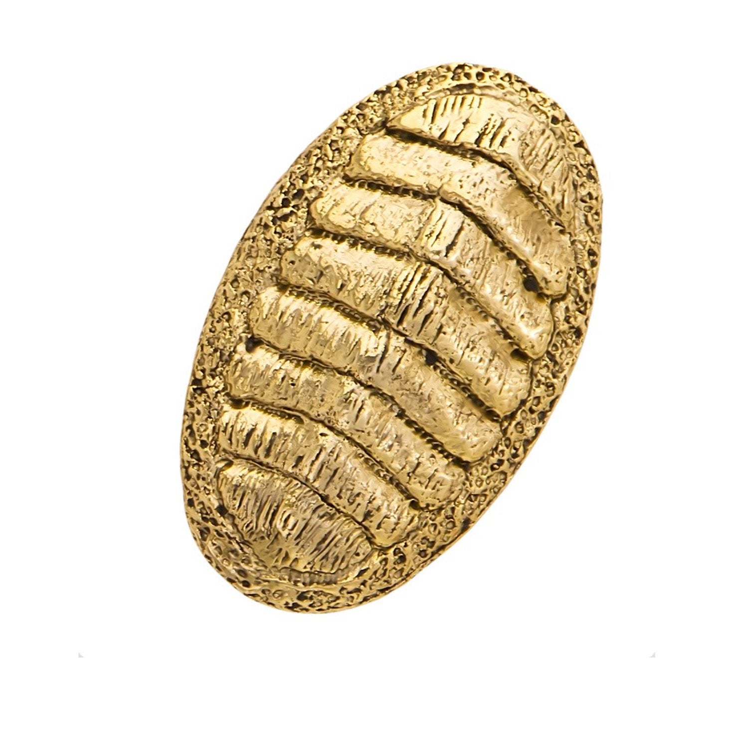 Chiton Pin
