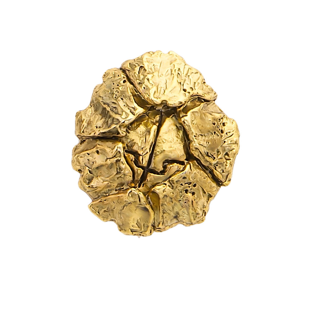 Barnacle Magnet A169