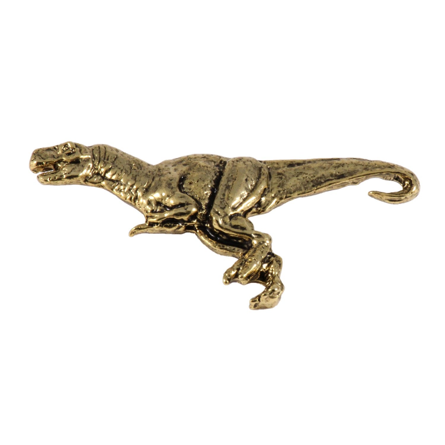 Tyrannosaurus Rex Pin