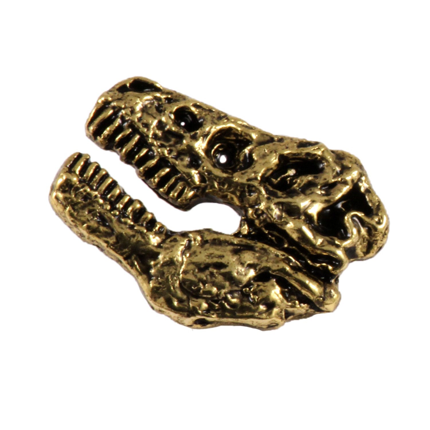Tyrannosaurus Rex Fossilized Head Pin