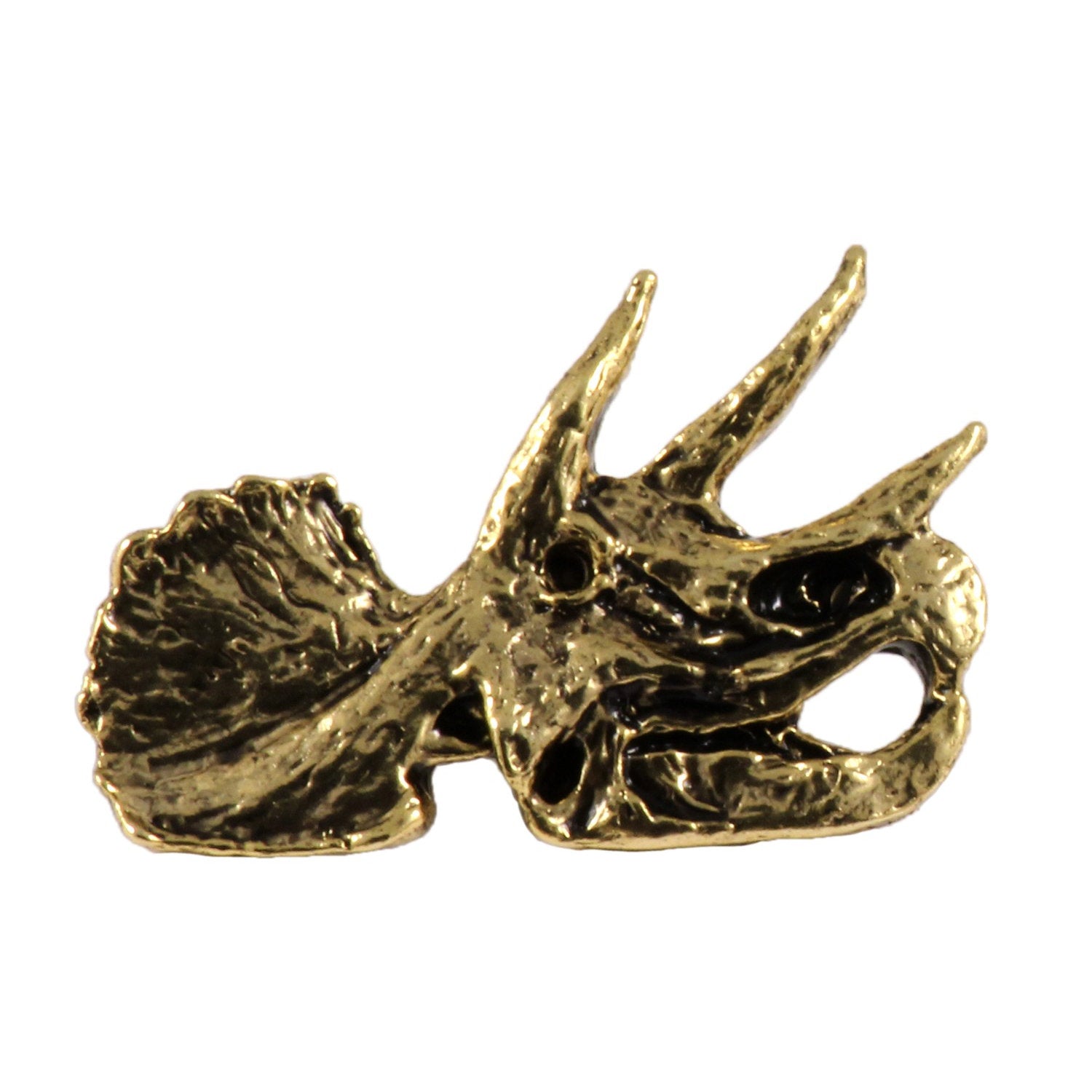 Triceratops Fossilized Head Pin
