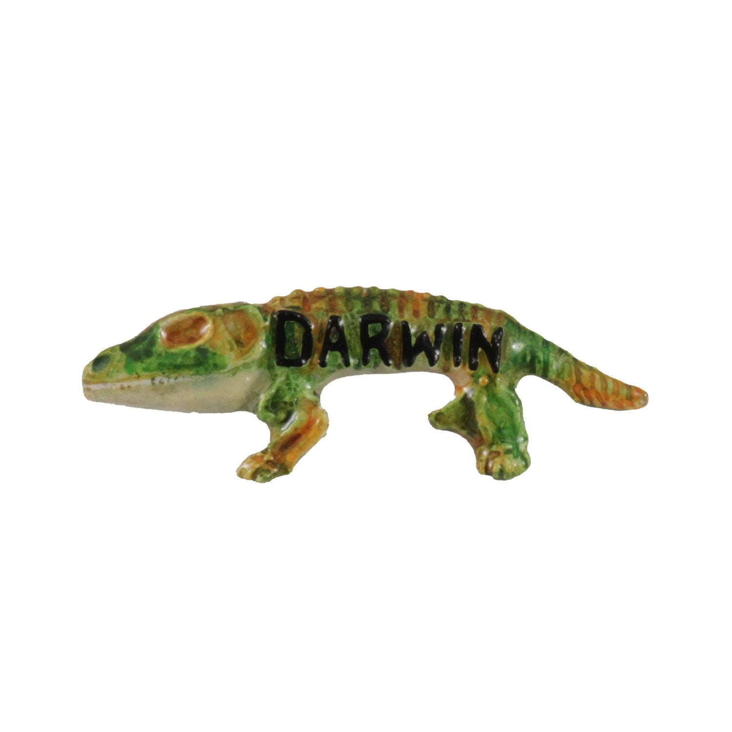 Darwin Pin