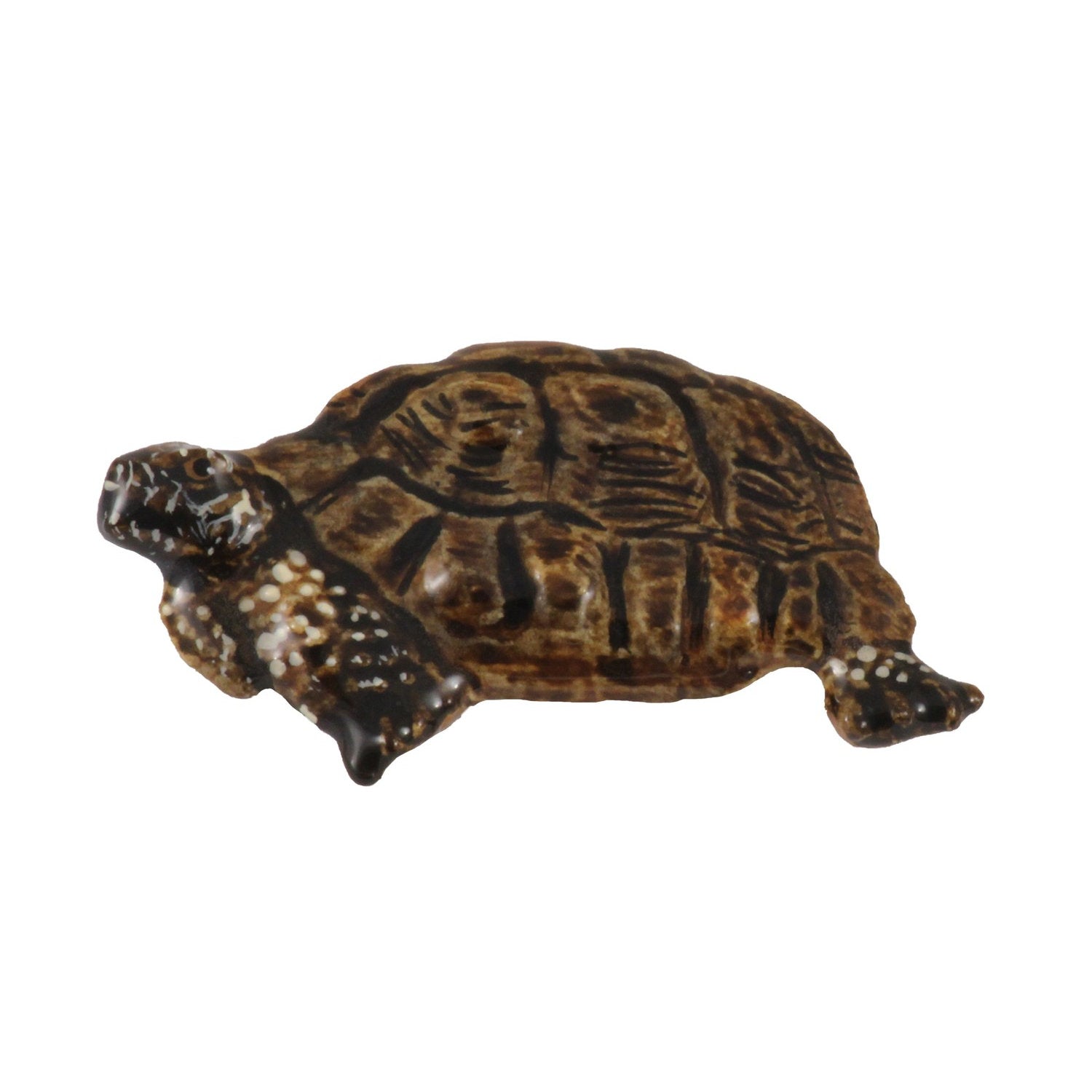 Tortoise Pin