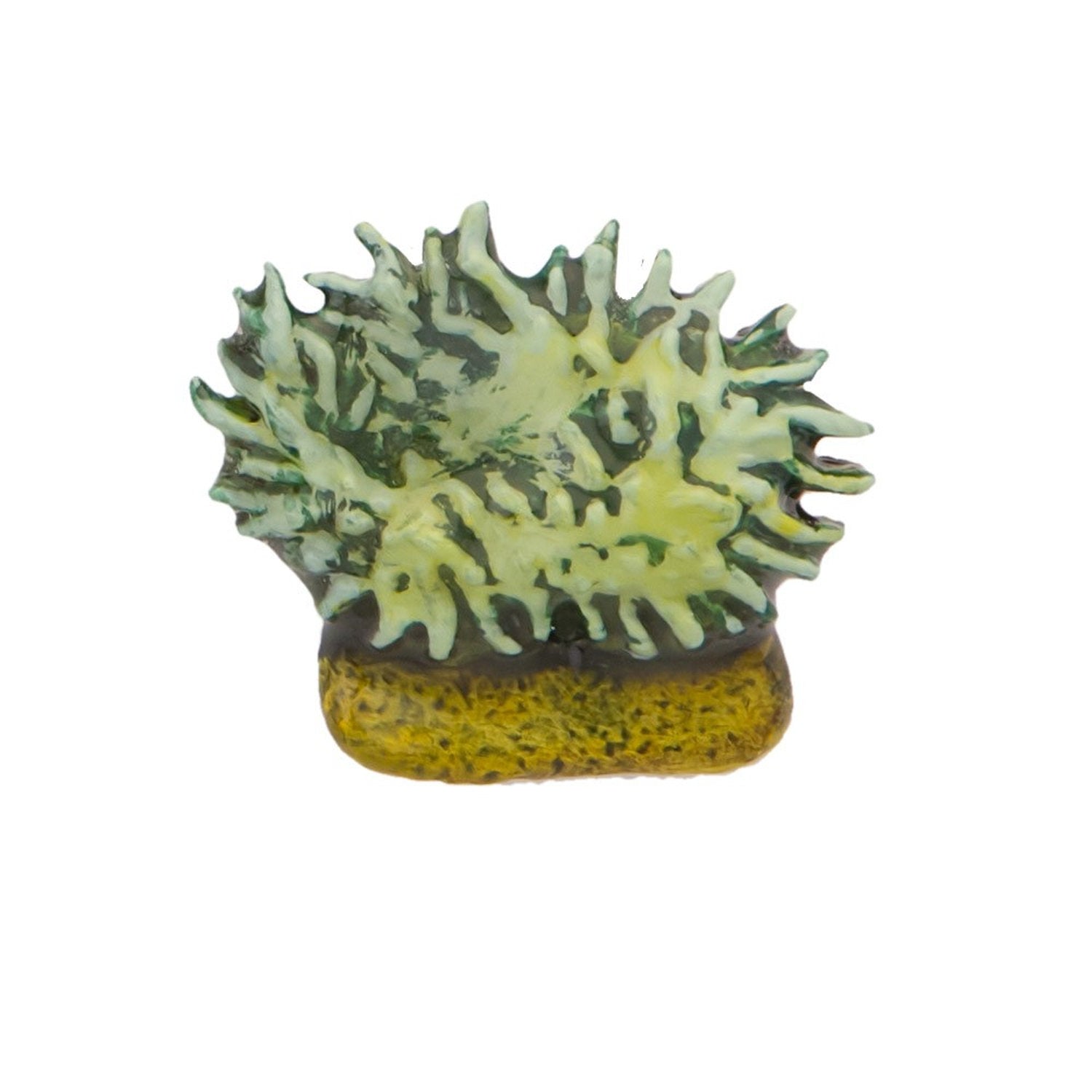 Sea Anemone Pin