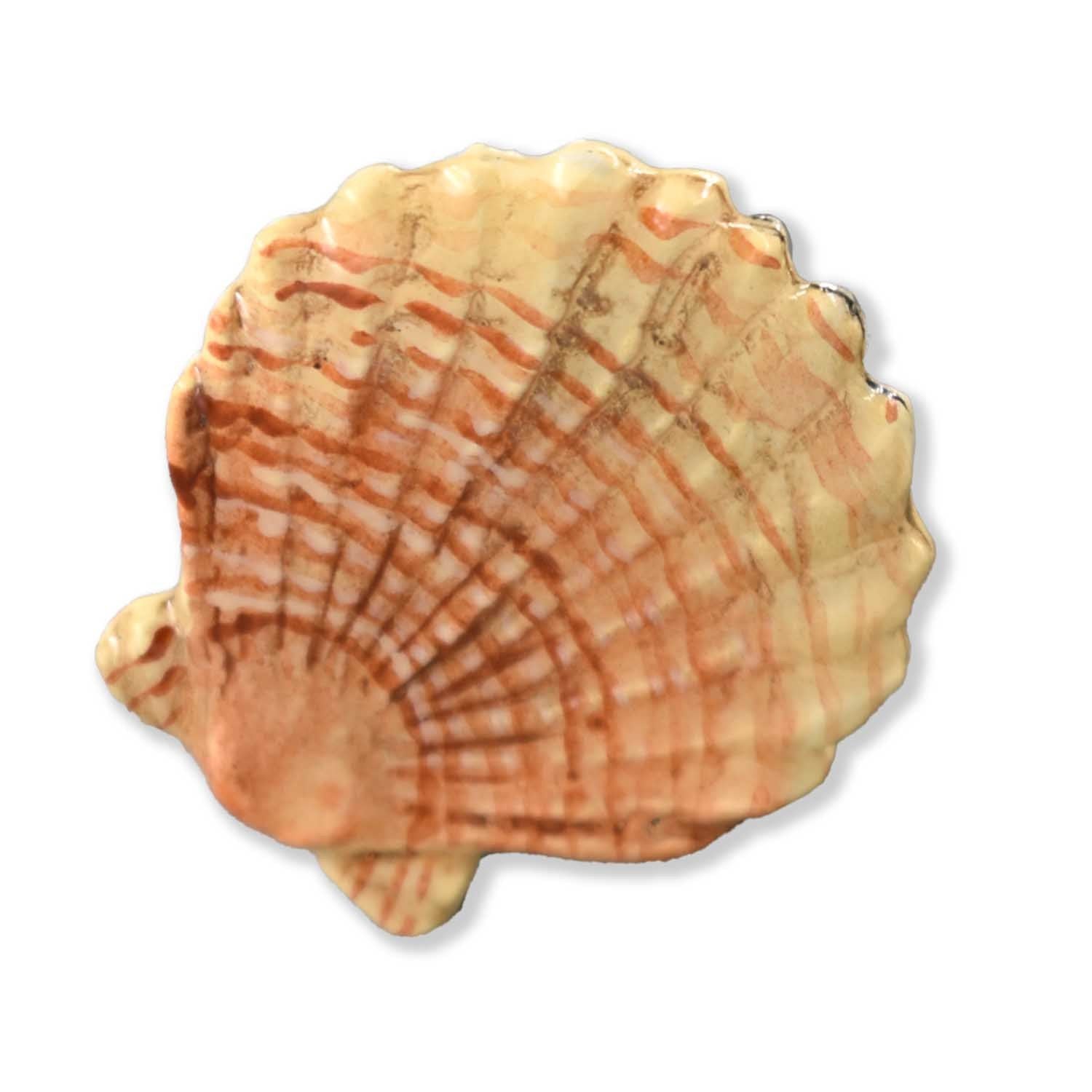 Scallop Shell Pin
