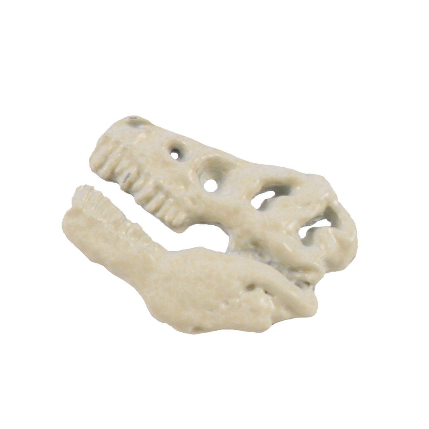 Tyrannosaurus Rex Fossilized Head Pin