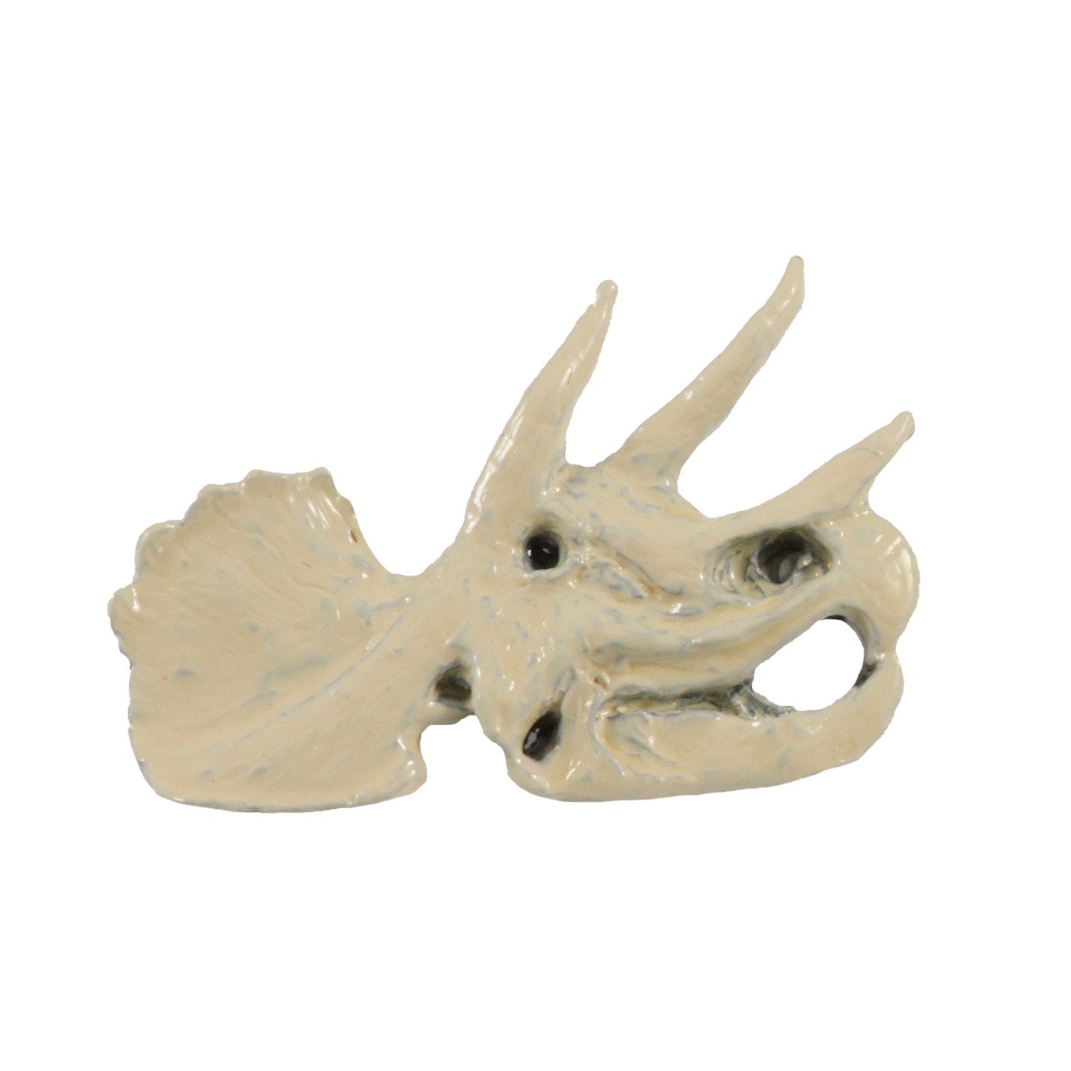 Triceratops Fossilized Head Pin