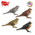 Robin Pin B107