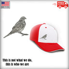 Robin Pin B107